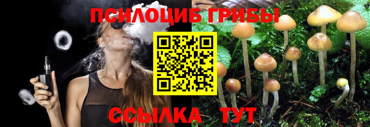 Сатка  Псилоцибиновые грибы Psilocybe  Вход с VPN 